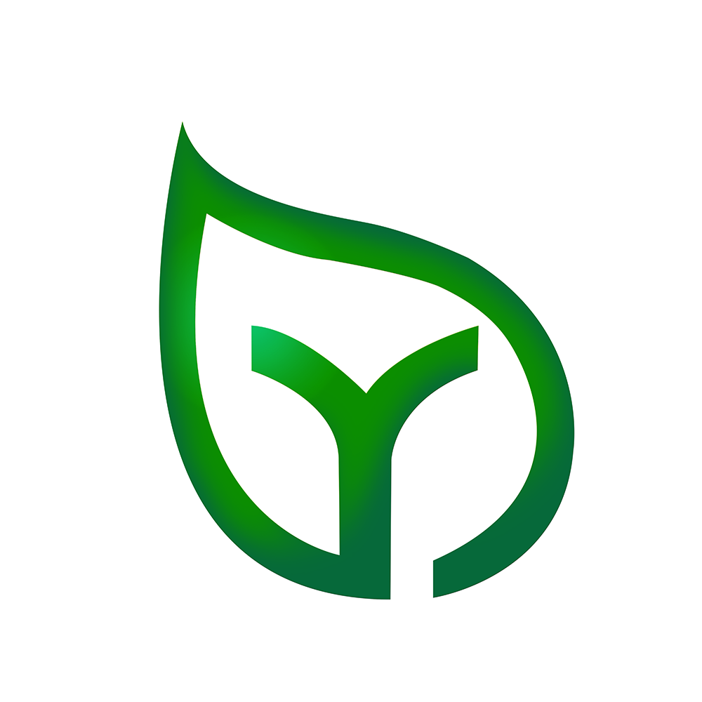 DYP Logo